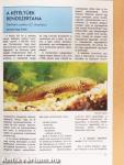 Akvárium Magazin 1994/12.