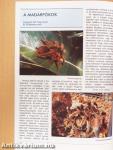 Akvárium Magazin 1994/10.