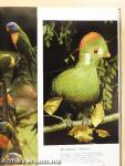 The Birds