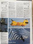 Modern Fighting Aircraft