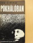 Pókhálóban
