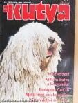 A Kutya 1997. június