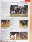 A Kutya 1997. június