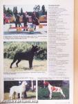 A Kutya 1997. szeptember
