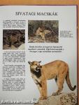 Sivatagok