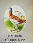 Madarak földön, égen
