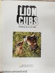 Lion Cubs