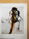 Arnulf Rainer
