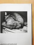 Arnulf Rainer