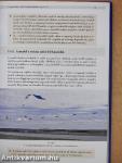 Repülőmodellezés II.