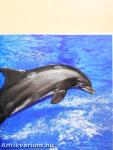 Delfinek