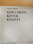 Sziklákon, kövek között