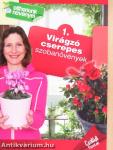 Virágzó cserepes szobanövények