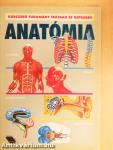 Anatómia