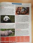 5 perc Angol magazin 2019. június