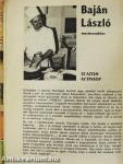 A főzőkanál művészei