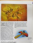 Flugsaurier