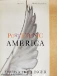 Postethnic America
