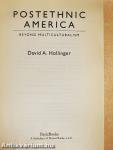 Postethnic America