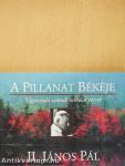 A Pillanat Békéje