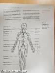 Aerobics Instructor Manual