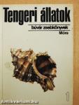 Tengeri állatok 1.