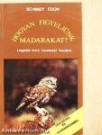 Hogyan figyeljünk madarakat?