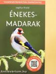 Énekesmadarak