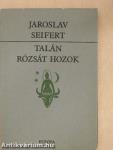 Talán rózsát hozok