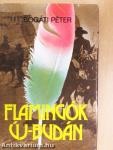 Flamingók Új-Budán