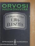 Újraélesztés