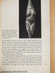Prehistoric Art