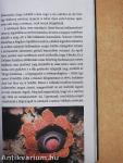 Beszéljünk növényül!