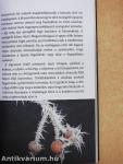 Beszéljünk növényül!