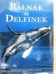 Bálnák és delfinek