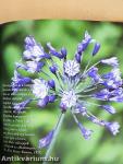 Szívügyünk a kert