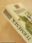 Termések