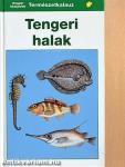 Tengeri halak