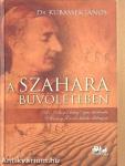 A Szahara bűvöletében