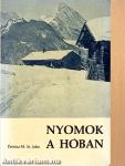 Nyomok a hóban