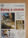 Beteg a cicánk