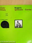Bulgária építészete