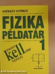 Fizika példatár 1.