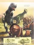 Dinoszauruszok 