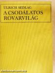 A csodálatos rovarvilág