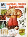 Gombák, mohák és harasztok