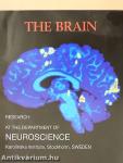 The Brain