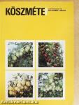Köszméte
