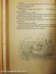 A koppányi aga testamentuma