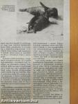 Univerzum 1988/6.